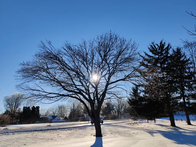 Hessel Park