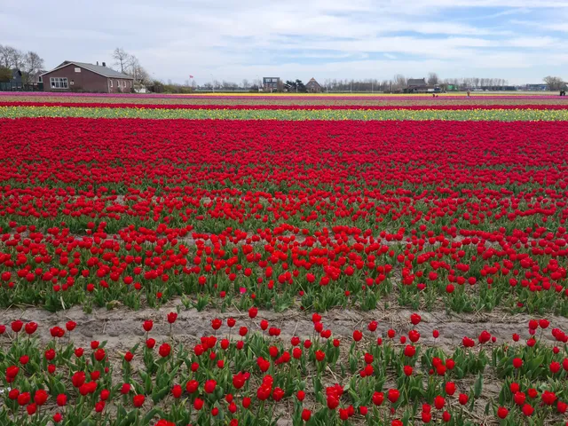 Streekmuseum Veldzicht