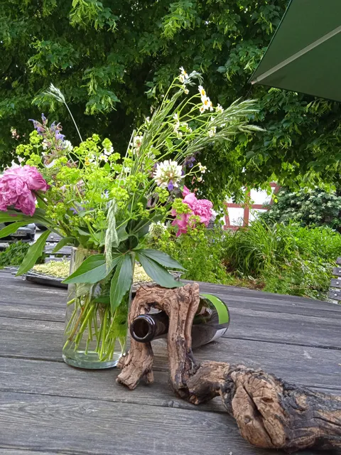 Ökologischer Land- & Weinbau KRAEMER ° Wein ° Ferienwohnung ° Gastronomie ° Landwirtschaft