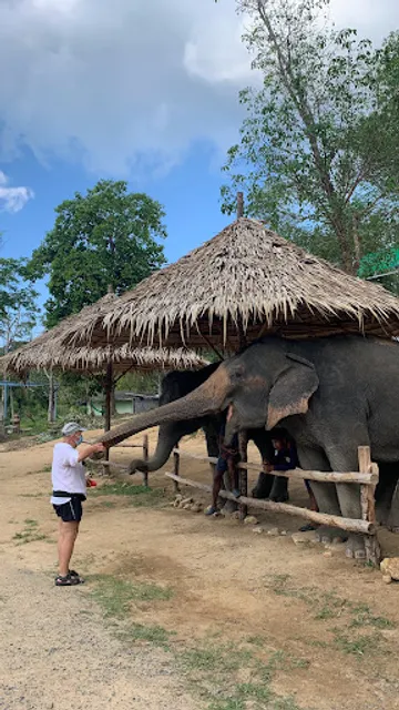 Phuket Elephant Care