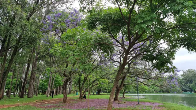 Parque Ibirapuera - Portão 10