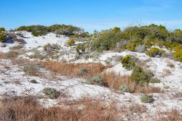 Topsail Hill Preserve State Park