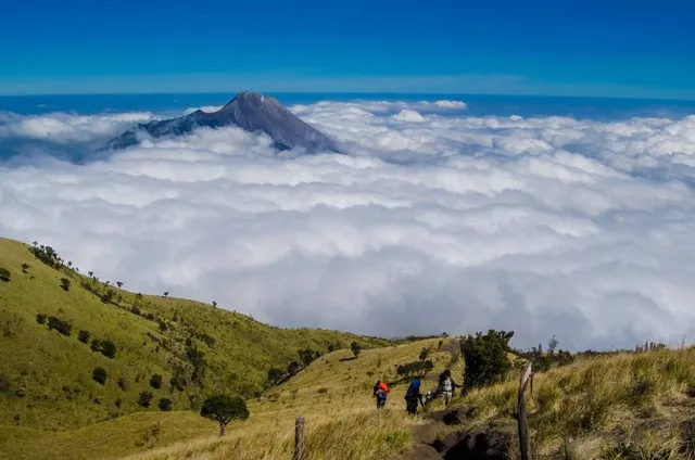 Mount Merbabu National Park
