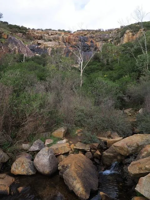 Ellis Brook Valley Reserve