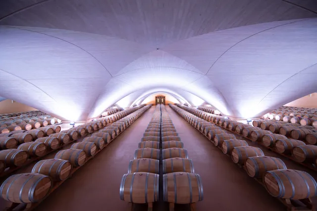 Otazu | Vino & Arte | D.O.P. Pago de Otazu