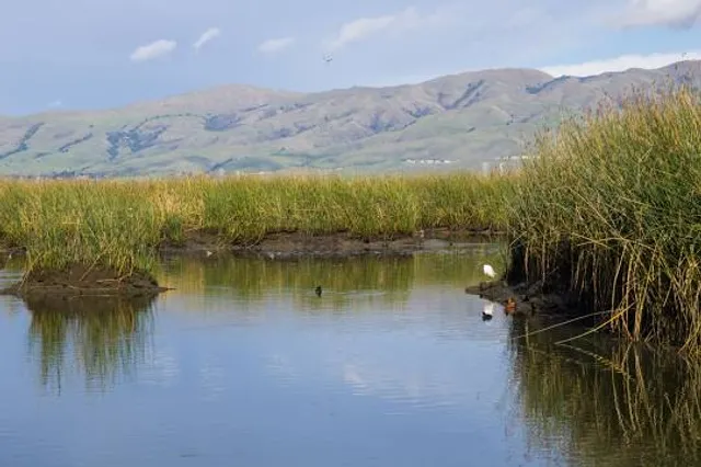 Área de Protección de Flora y Fauna Cuatrociénegas