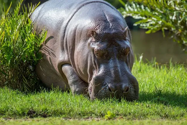 Aggieland Wild Animal Safari