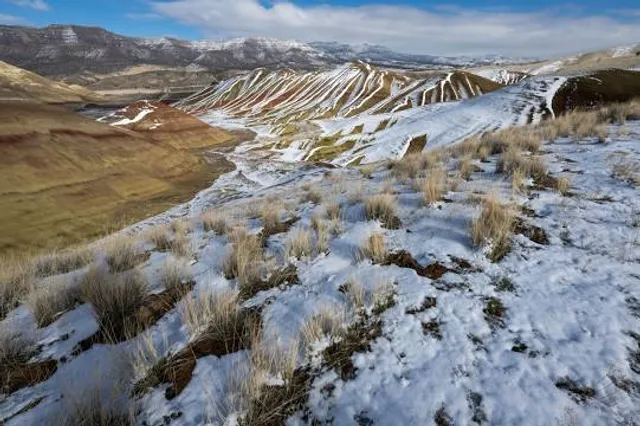 Thomas Condon Paleontology Center