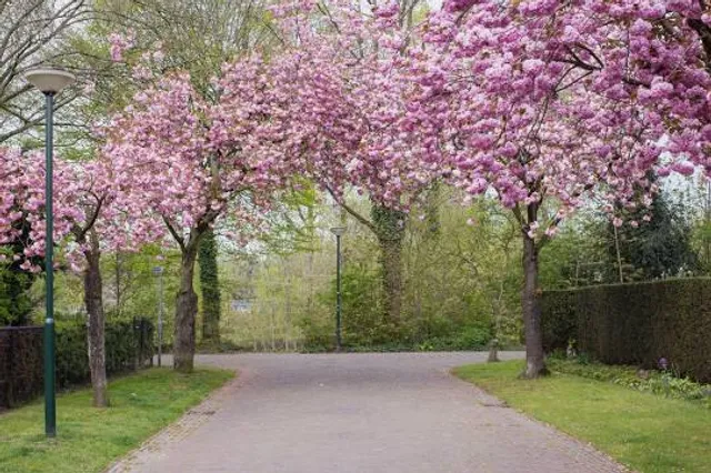 Stary Ogród w Radomiu
