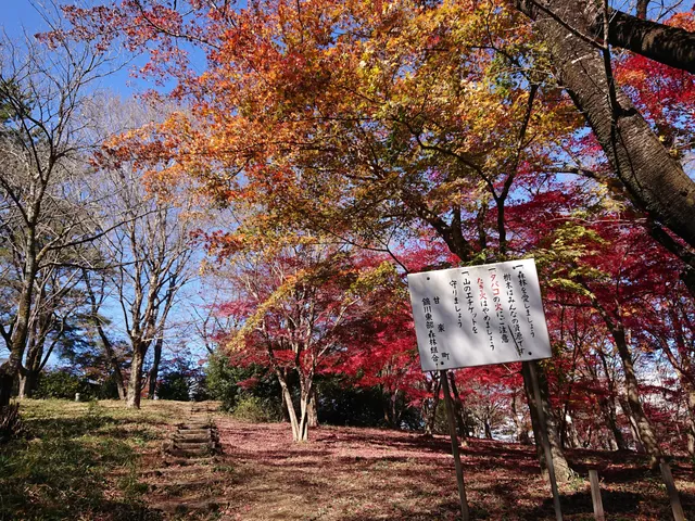 Momijiyama Park