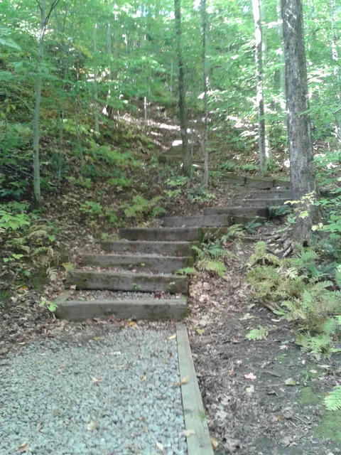 photo-1