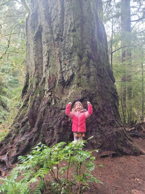 Keta Legacy Foundation Rhododendron Preserve