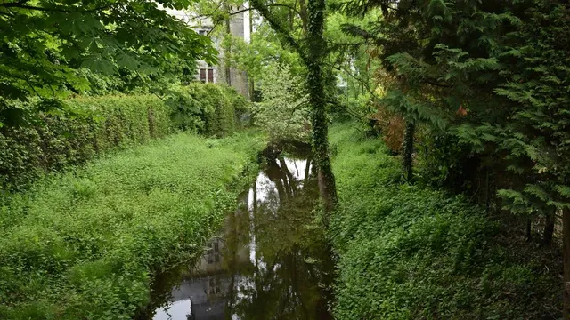 Ziepbeek
