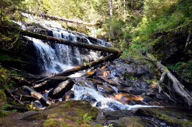 Wasserfall der weißen Sulm
