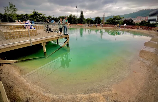 El Lago del Parque de Etxebarría
