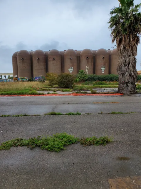 Antigua bodega vinival Alboraya