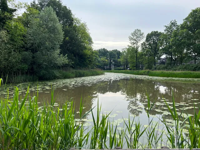 Mayor Sonsbeeck Park