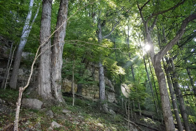 O'Bannon Woods State Park