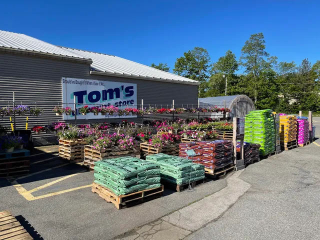 Tom's Discount Store - EVERYTHING YOU NEED