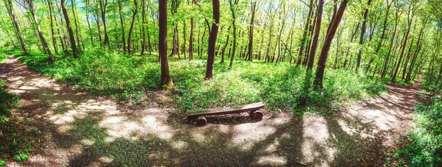 Silver Creek Conservation Area