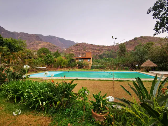 Alberca "El Paraíso del Rincón"