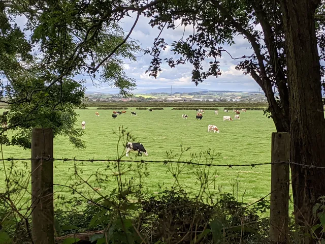 Heysham Moss Nature Reserve