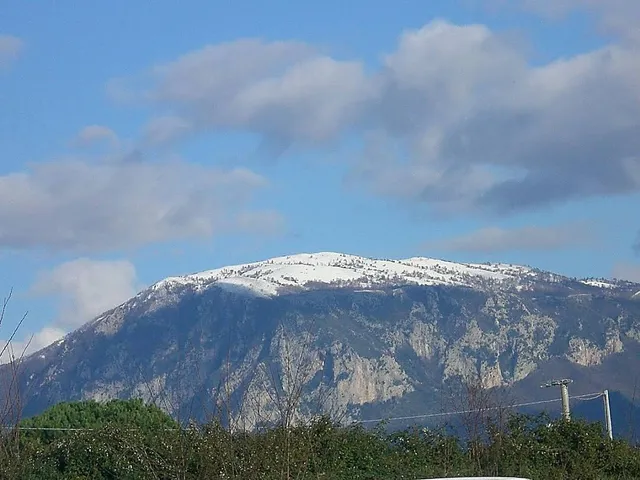 photo-2