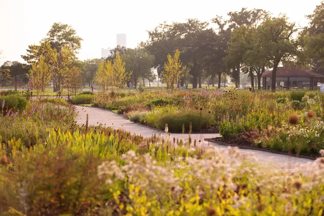 Oudolf Garden Detroit