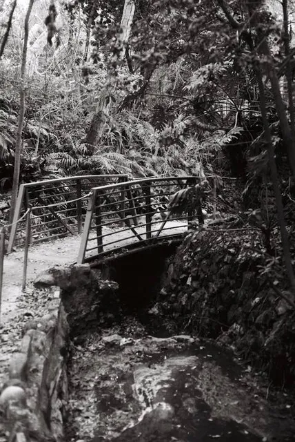 Fern Dell Nature Trail