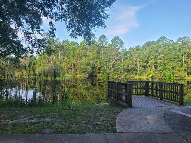 The Beach and Peach Urban Bike Park