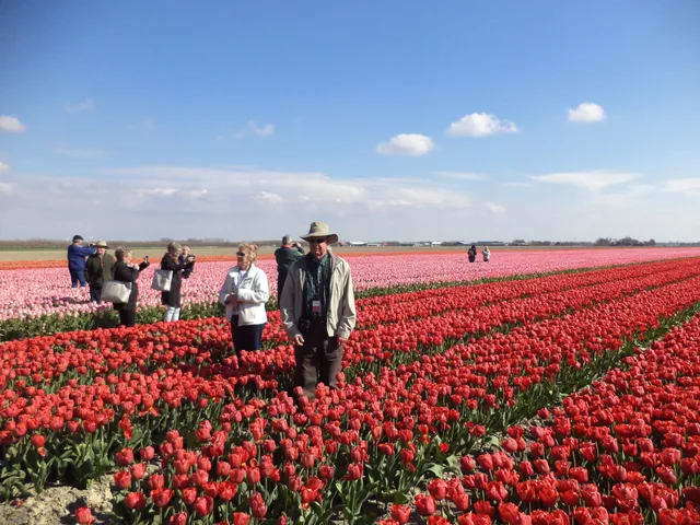 Tulpenexcursie