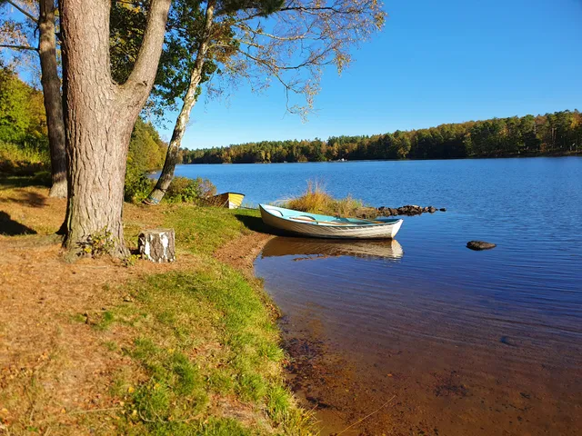 Långasjönäs Naturreservat