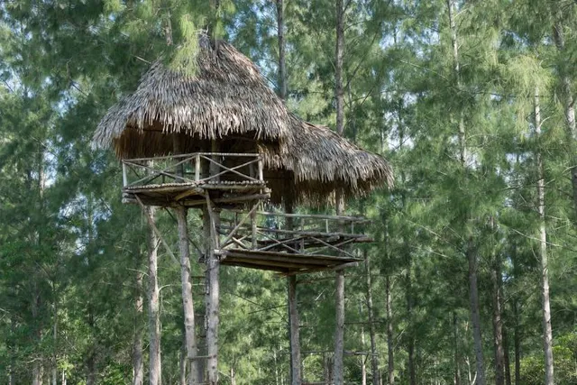 Saijōshi Shiminnomori