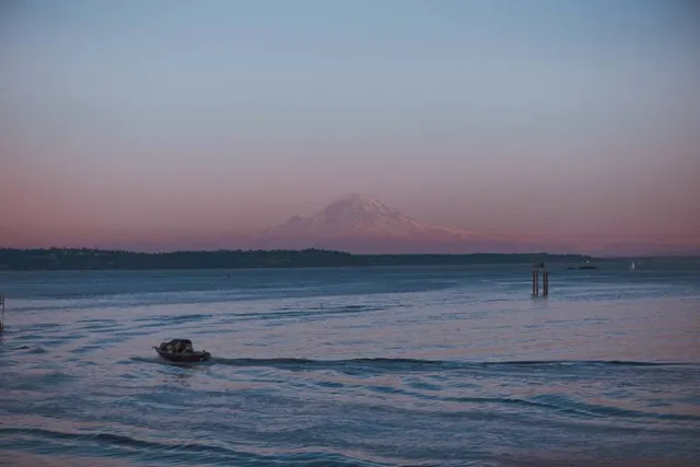 Lake Washington T Dock