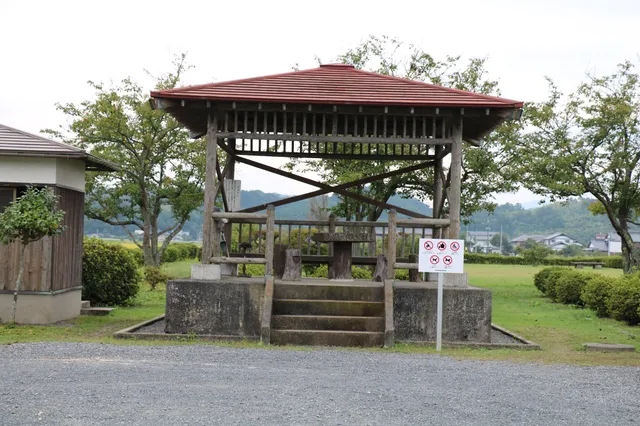 photo-1