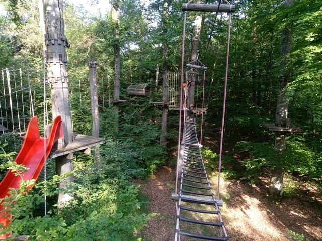 Waldseilgarten Herrenberg