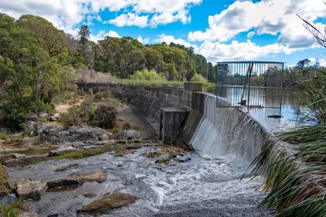 Box Vale Walking Track