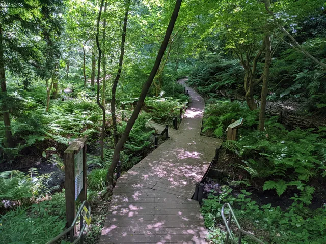 Kanazawa Natural Park