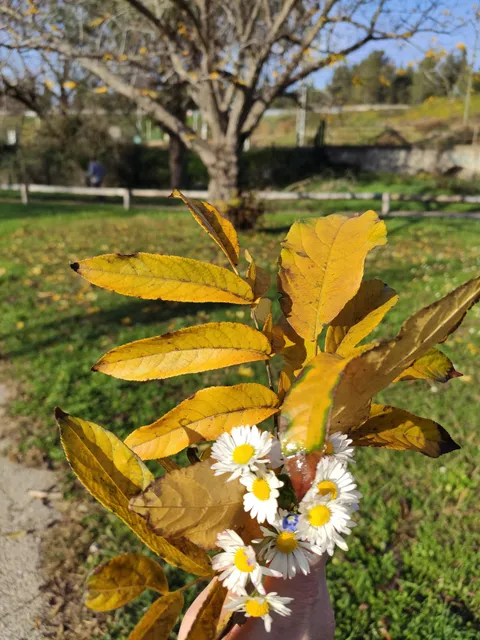 Parc Domanial de la Tranquillité du Pays d’Aubagne