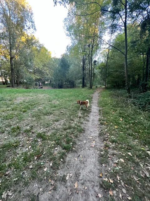 Parc de la Butte Verte