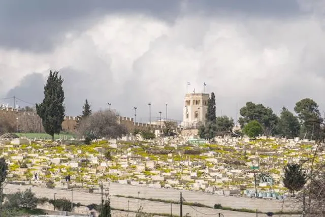 Rockefeller Archaeological Museum