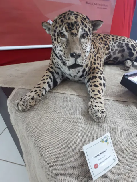 Muzar - Museu Zoobotânico Augusto Ruschi