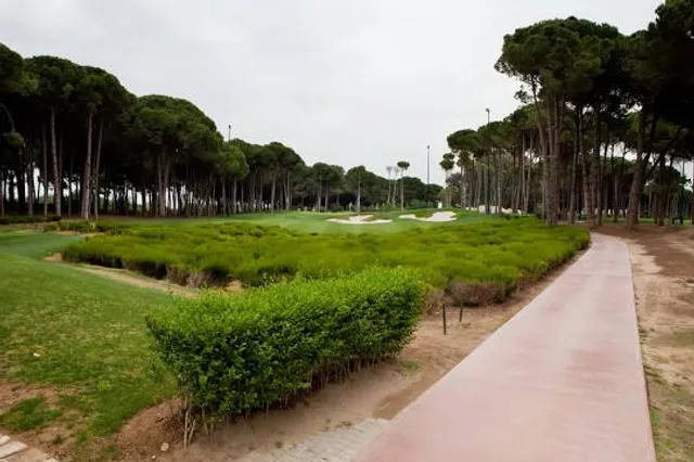 Parc del “Pinar del Perruquet”