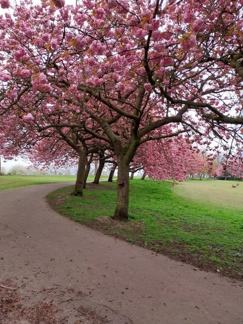 Western Flatts Cliff Park