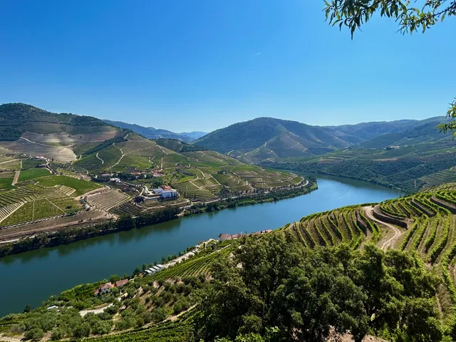 Quinta das Carvalhas