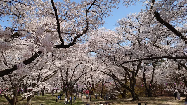 Kasugajō Castle Ruins