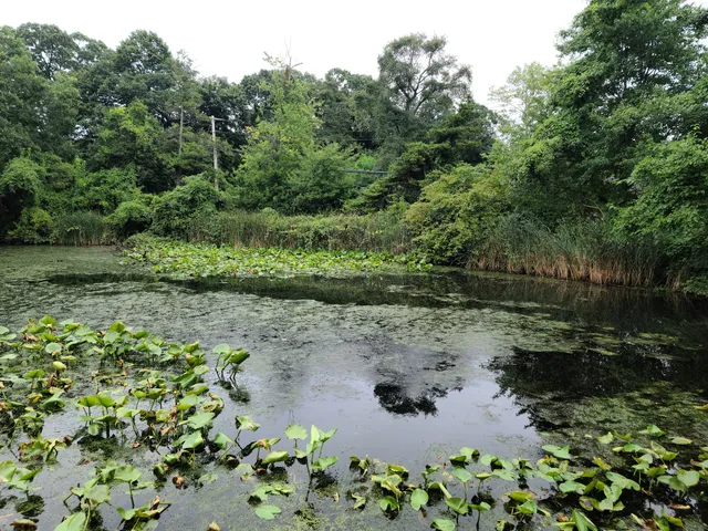Center for Science Teaching and Learning @ Tanglewood Preserve
