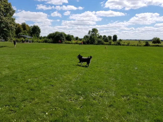 West Main Community and Bark Park