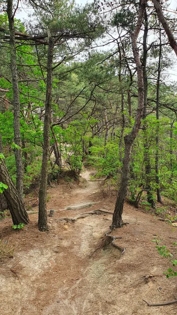 Gwanaksan Forest Trail