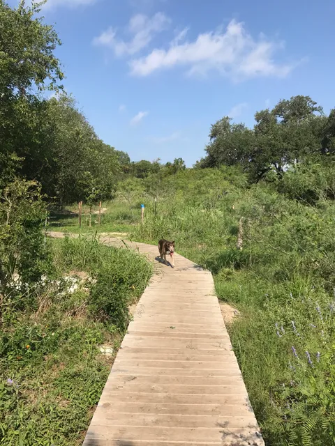 Ringtail Ridge Natural Area